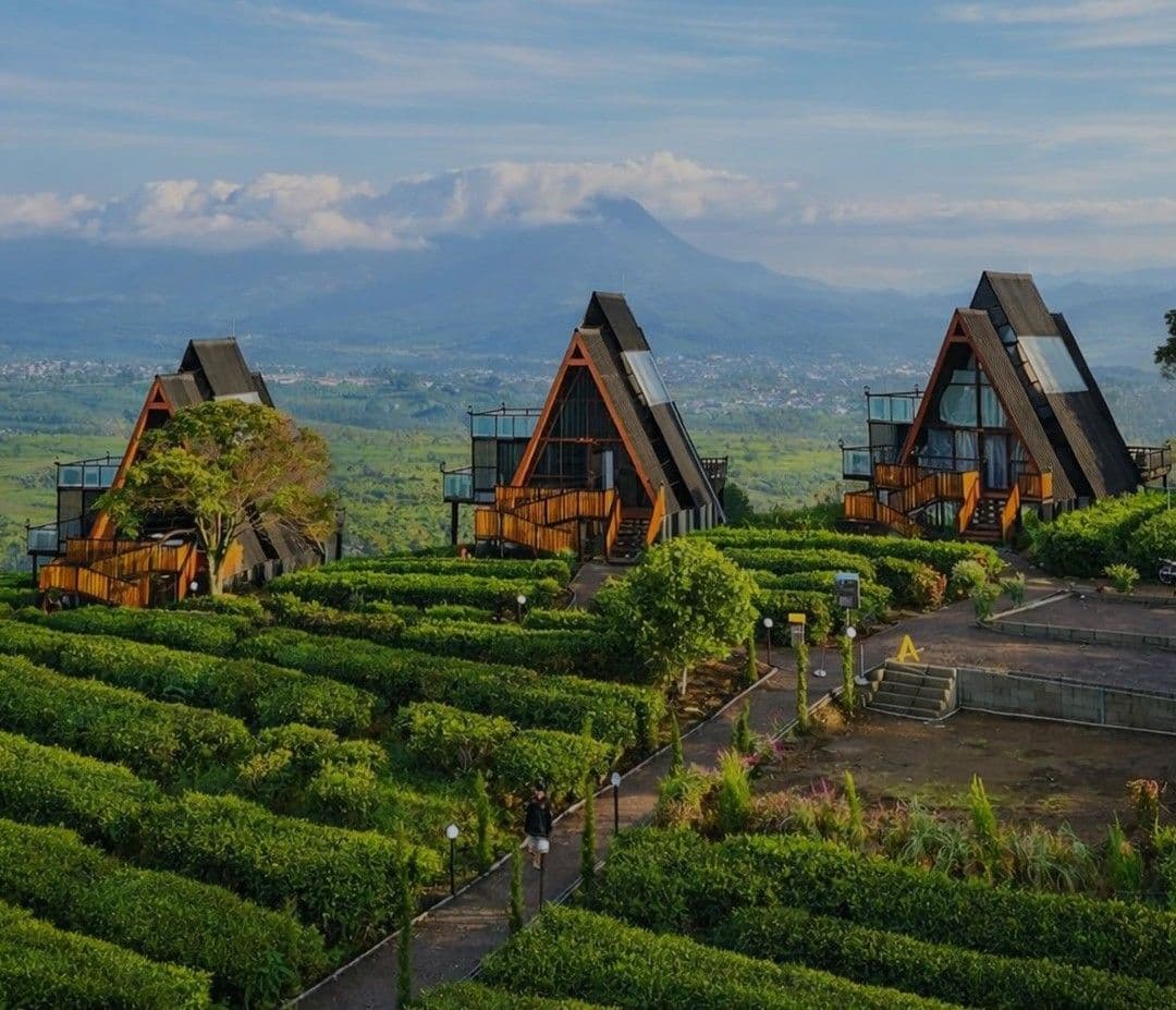 Momen di Nimo Highland 4